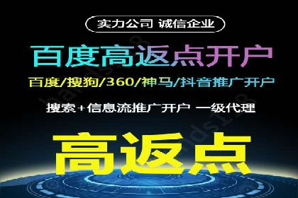某公司通过百度竞价实现业务快速增长的案例